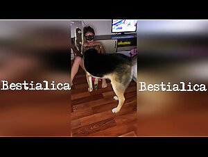 The best zooporno videos to watch immediately