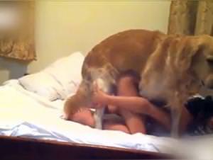 Slut Gets Fucked By Dog Pt.1