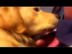 The best beastiality videos in French