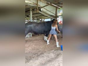 Dog Fucks Girl Dirty Extreme