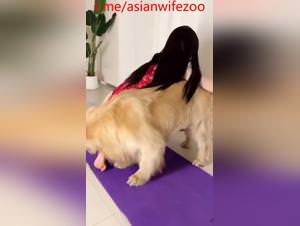 Chinese wife, dog play, extreme fetish