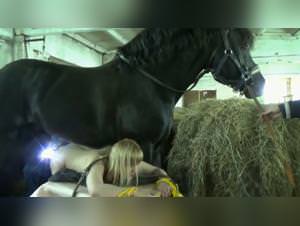 XXXZoo: Milf & Horse - Hardcore Animal Porn
