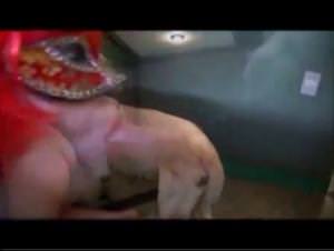 Doggy Domination Webcam