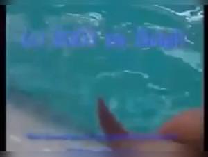 Milly Dog Bang Part 1