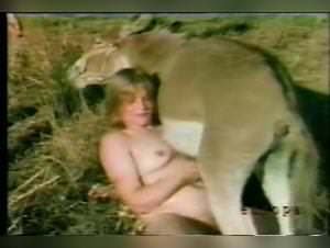 Color climax: dog fucking fever