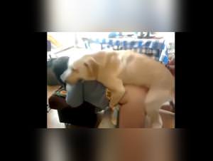 Polish Slut Dog Fuck Extreme