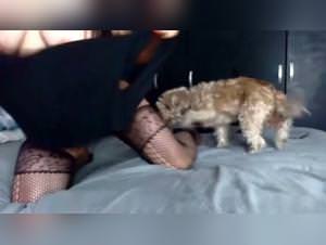 Milly Dog Fuck 3 - Extreme Animal Sex