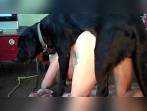 Dog fucking wife amateur - extreme zoophilia