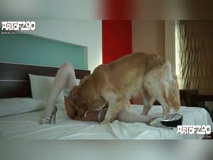 Alina meets her dog: extreme doggy porn