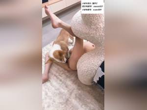 Dog Bangs Woman, Extreme Porn Videos