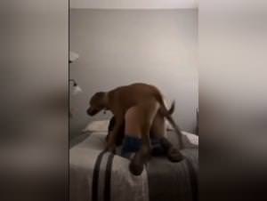 Teen blonde brutally fucked by her dog