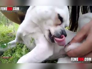 Doggy sex : primal pleasure unleashed