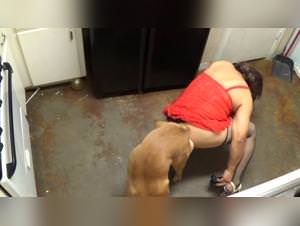 Woman Caught Fucks Dog, Cheating Exposed