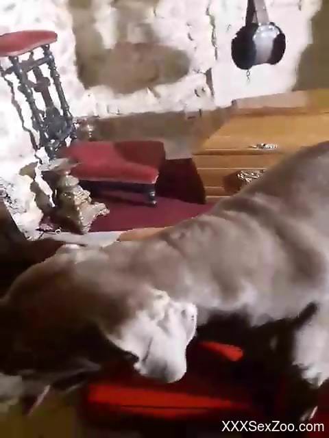 The animal is not done until it is really done