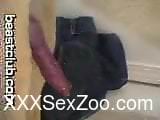 Hectic bestiality video featuring a slutty gay bottom