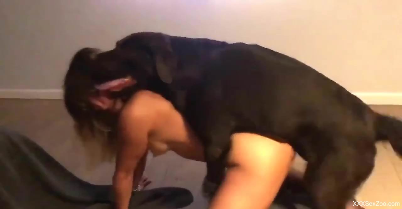 Brunette screwed by a very sexy black dog on cam