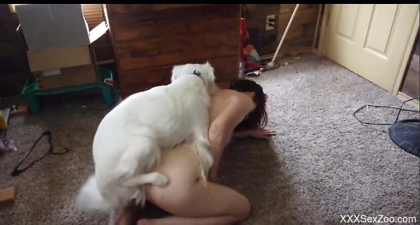 Sexy ass babe feels energized as fuck by fucking with the dog
