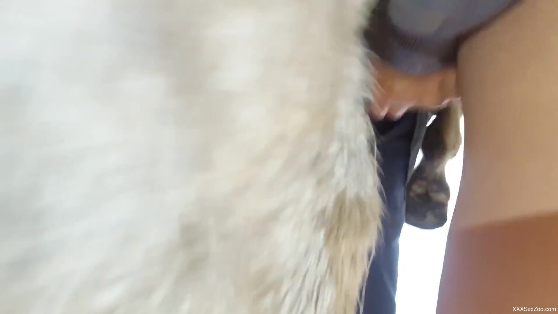 Horse cock love featuring the subtle teasing