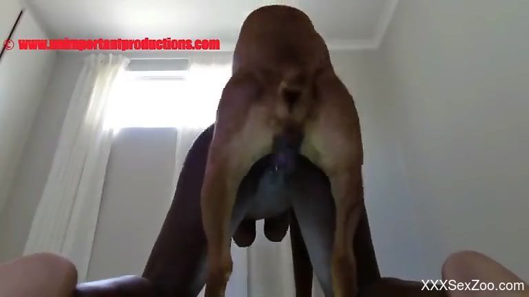 Black babe gets destroyed by a large canine cock