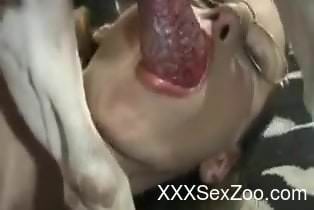 Nerdy beauty deepthroating a dog's hard cock