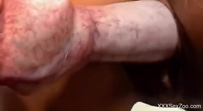 Tanned babe throats entire dog penis until sperm floods her mouth