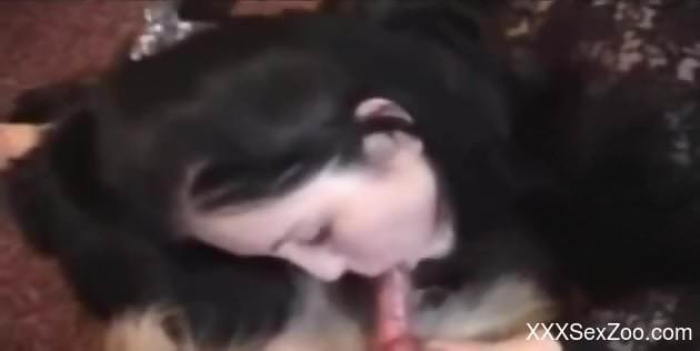 Sexy amateur babe filmed when sucking on a stiff dog cock