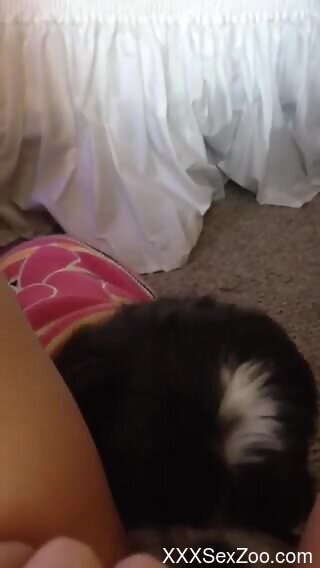 Needy man likes it how the furry dog licks his big dick