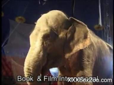 Serious animal porn zoophilia with a blonde and an Elephant