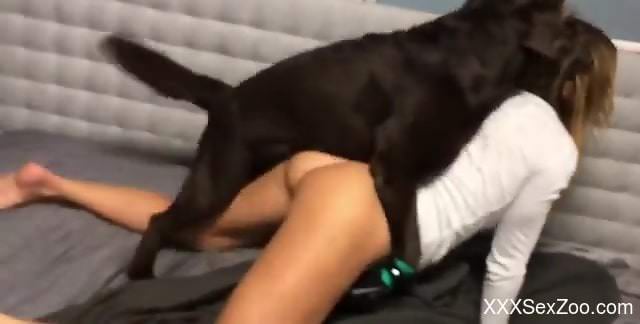 Really spunky slut gets railed on all fours by a dog