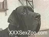 Black dog fucks its brunette owner on camera