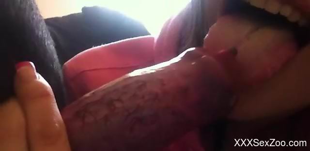 Brunette dressed in pink deepthroating a dog's dick