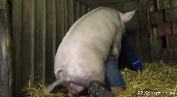 Pig ass fucks naked gay male in a dirty farm fetish