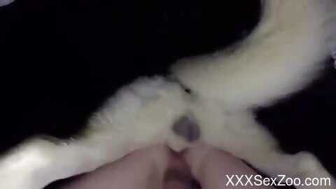 Furry dog humps naked man in the ass and comes inside him