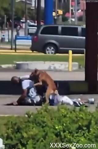 Amateur black man filmed in public trying sex with a dog