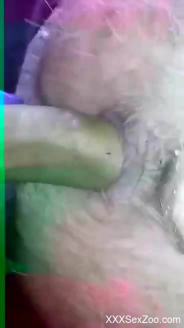 Dude fucks a horny animal in an outdoor sex scene