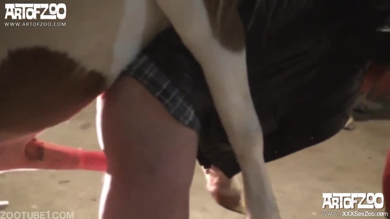 Steamy chick loves having the dog fucking her from behind