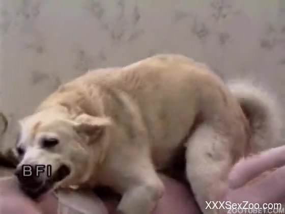 Young blonde wants the dog to fuck her hard