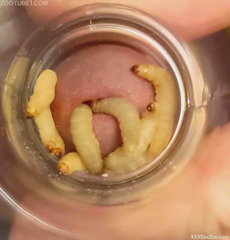 Man feels aroused by putting his dick in a jar filed with worms