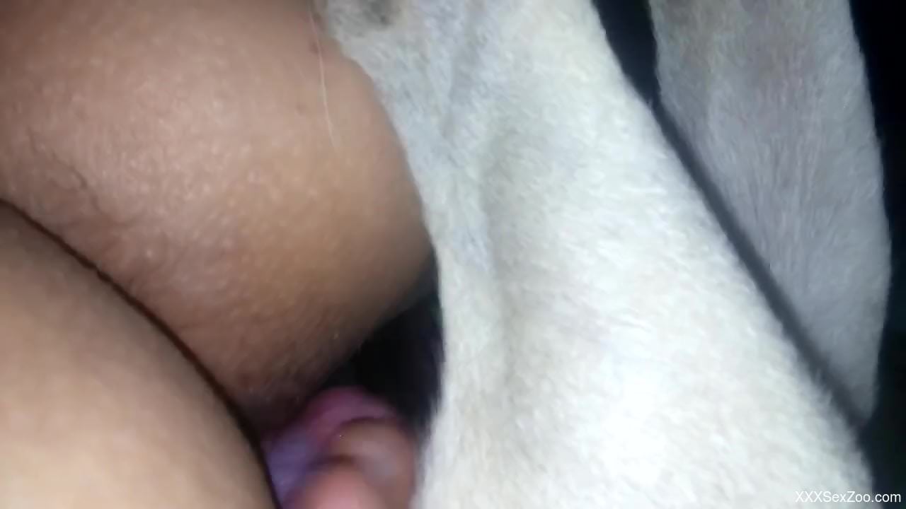 Hardcore anal fucking in a bestiality porn video