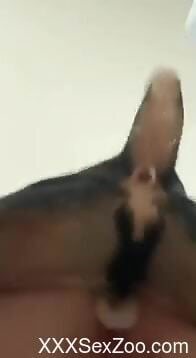 Amateur man gets to ass fuck a dog and fulfill his desires