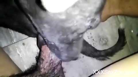 Dude gets a nice blowjob after hard vaginal sex