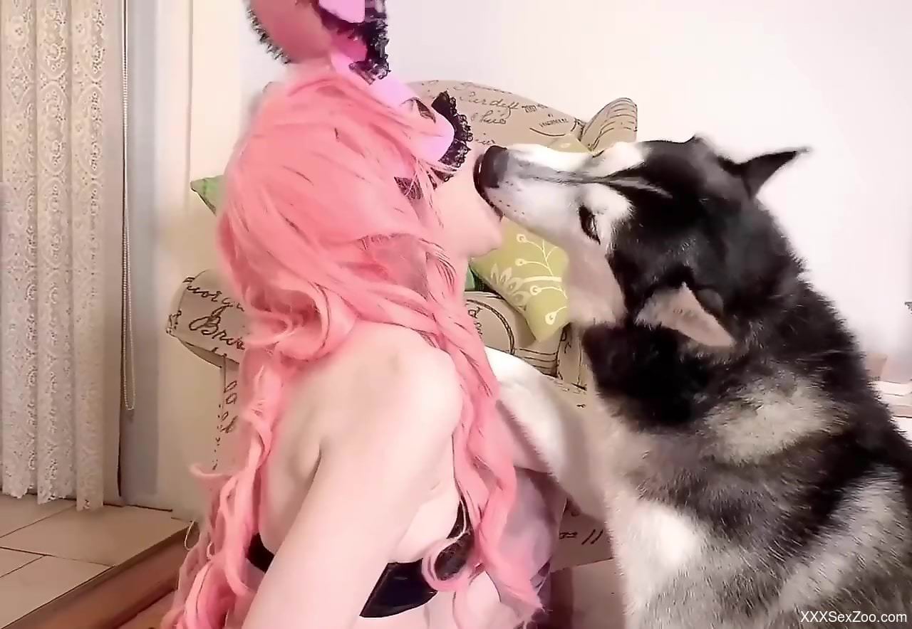 Girl in a pink wig lets the dog eat her pink pussy