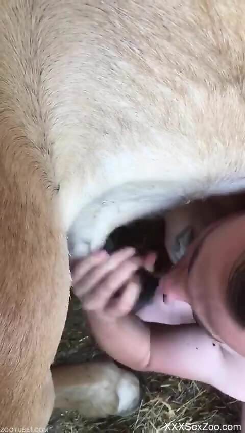 Fine woman grabs the animal's penis and starts to suck it
