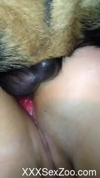 Insolent woman feels whole dog dick causing her great pleasure