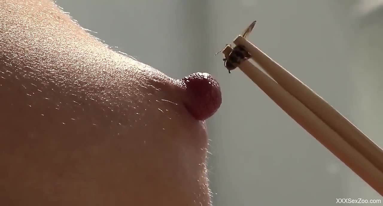Bee sting in a deeply fetishistic zoo porno movie