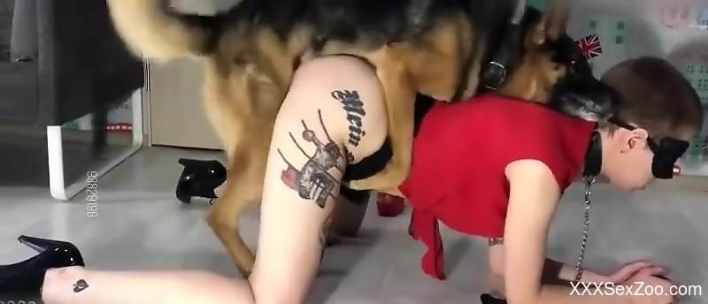 Inked-up beauty cums with a dog cock buried inside