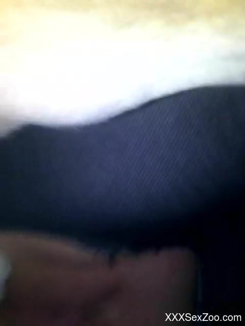 Man deep fucks horse and films himself doing that