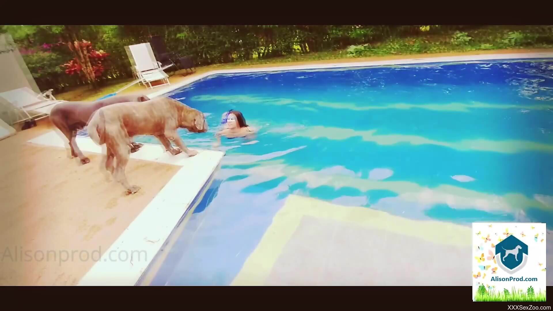 Masked Latina babe filmed when she blows the dog dick with grace