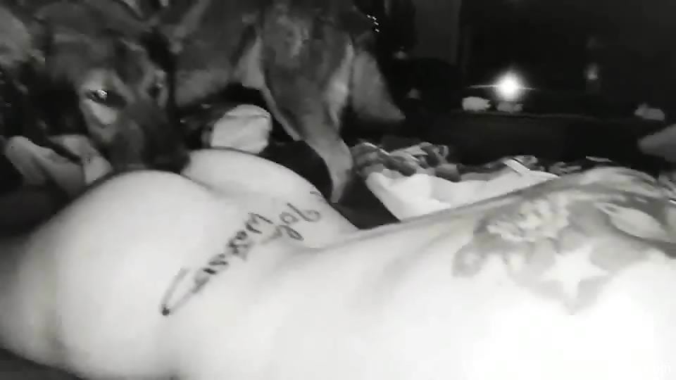 B&W gay anal scene with a horned-up zoophile dude