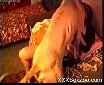 Fat mature gets hard fucked by dog in zoophilia home premiere